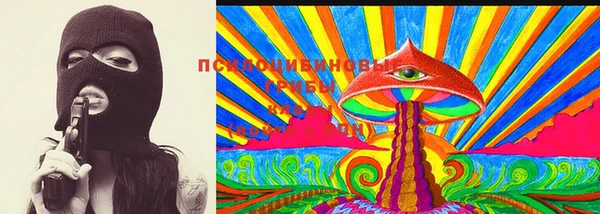 бошки Белокуриха