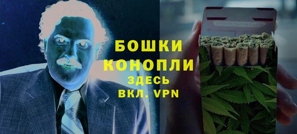 бошки Белокуриха